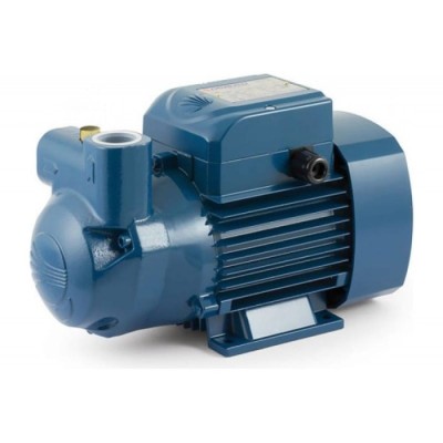 Electrobomba Ckm 50-Bp 0,33HP/0,25Kw Gasóleo/água Pedrollo | ByteNova