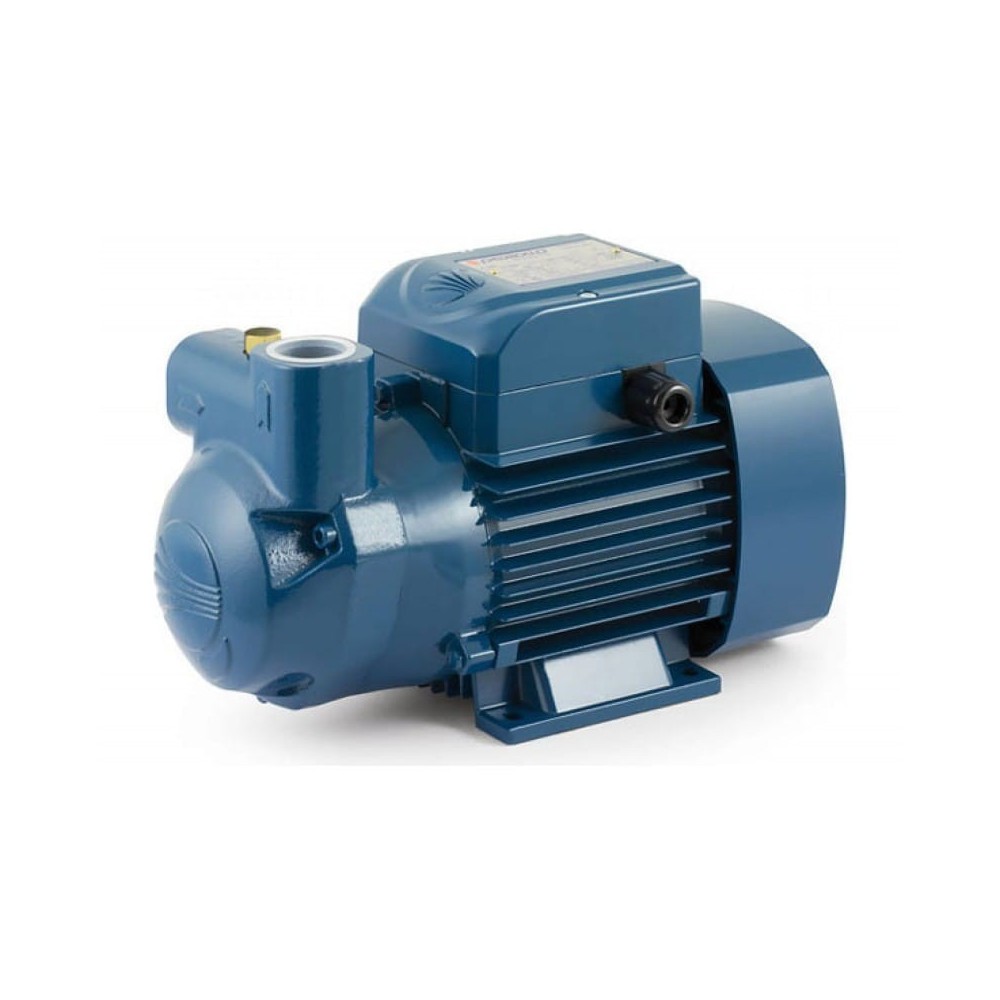 Electrobomba Ckm 50-Bp 0,33HP/0,25Kw Gasóleo/água Pedrollo | ByteNova