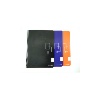 Golden Caderno T.d 4 80F. Liso | ByteNova