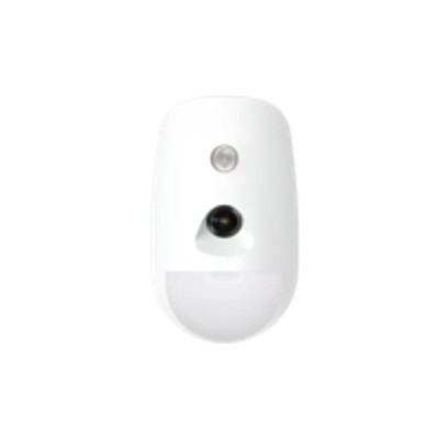 Wireless PIR-Camera Detector | ByteNova
