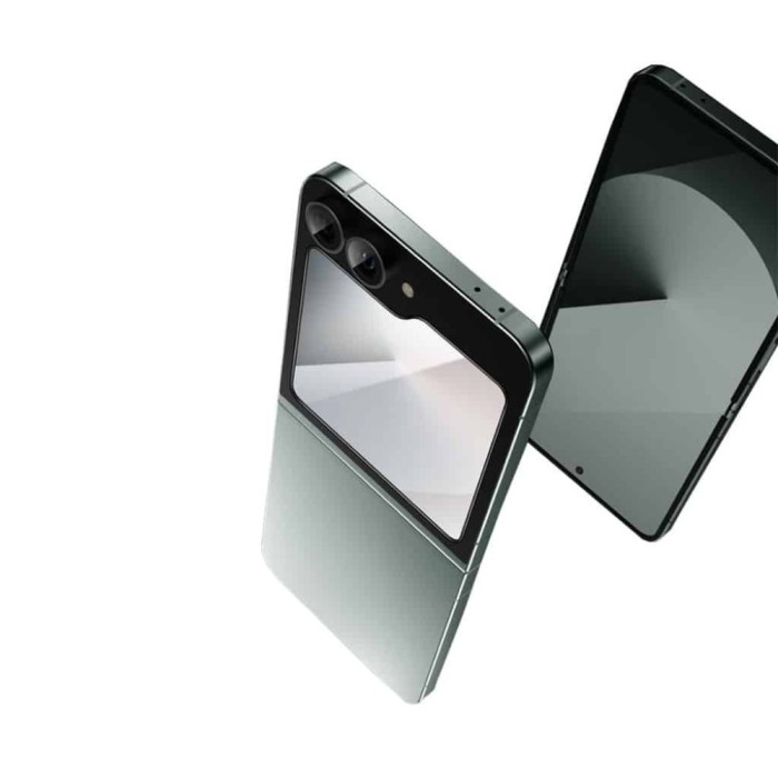 Película transparente Protection Pack Green Lion para | ByteNova